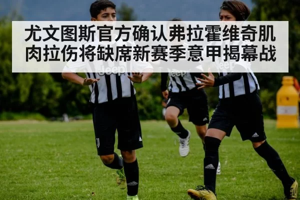 尤文图斯官方确认弗拉霍维奇肌肉拉伤将缺席新赛季意甲揭幕战